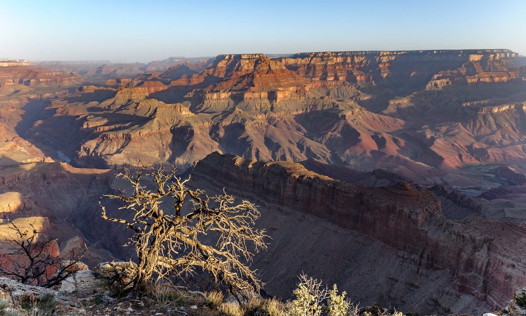 Lipan Point