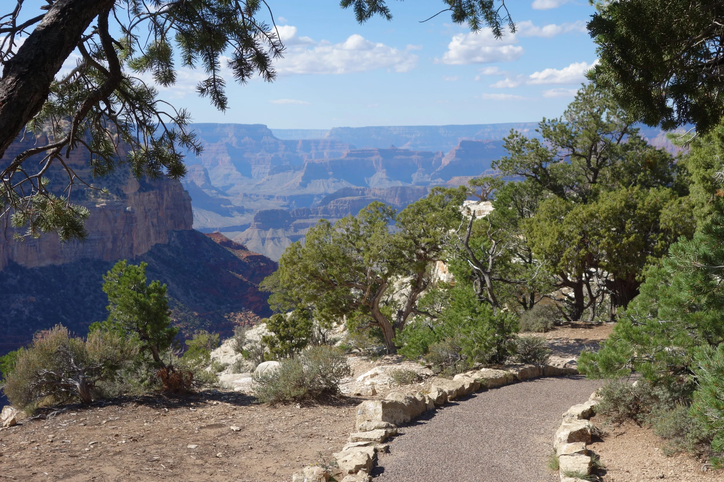 Rim Trail