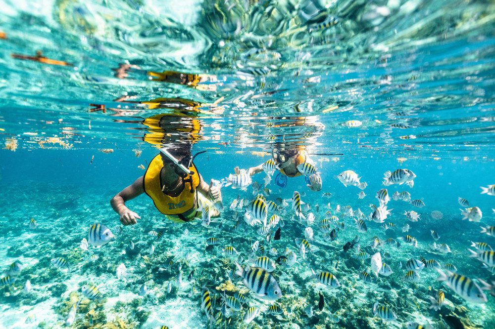 El Meco Reef