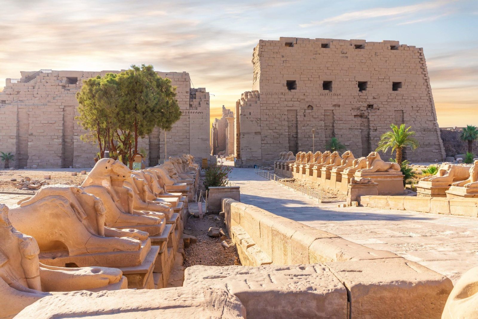 Egyptian Museum