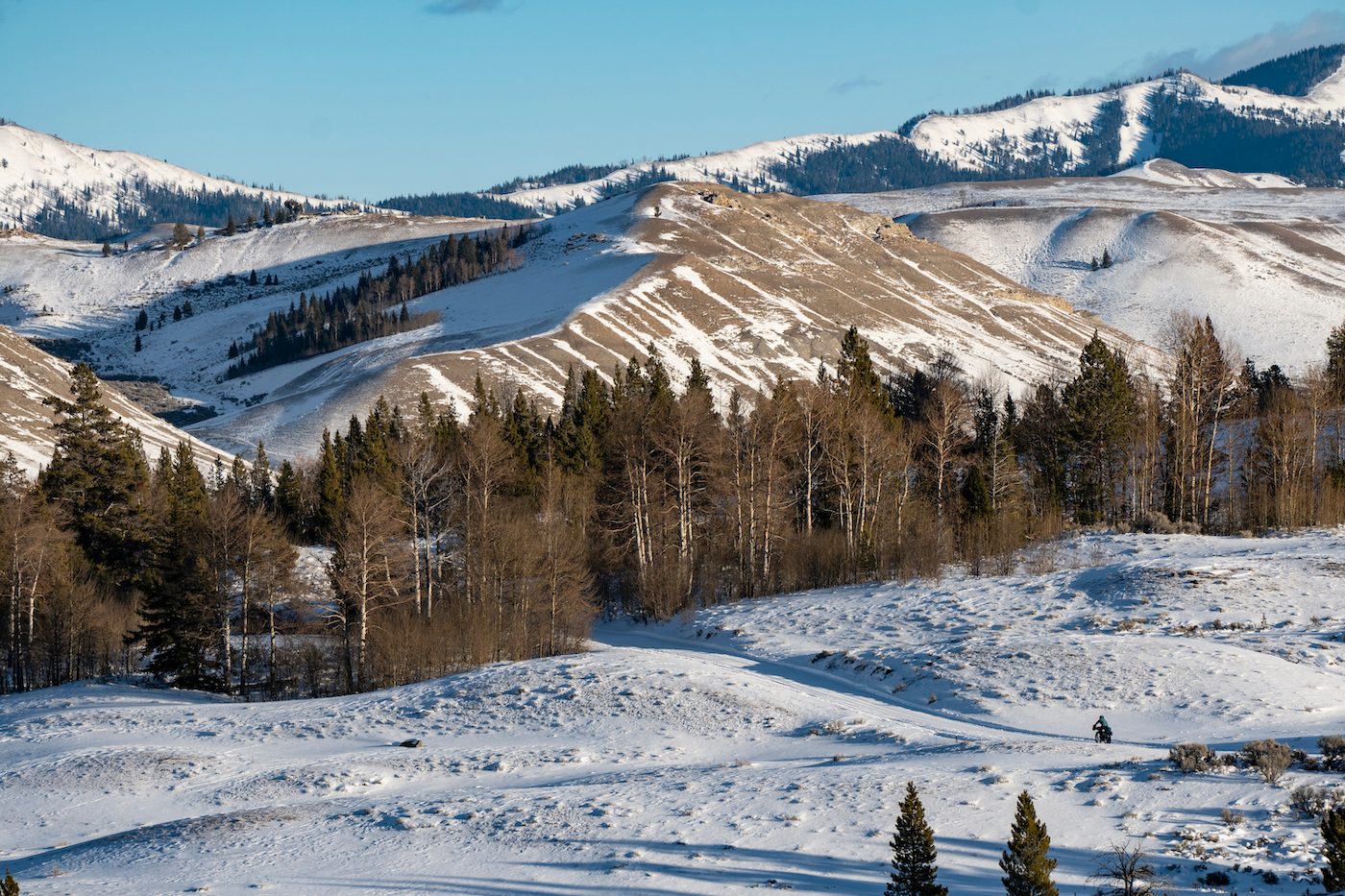 Gros Ventre Hills
