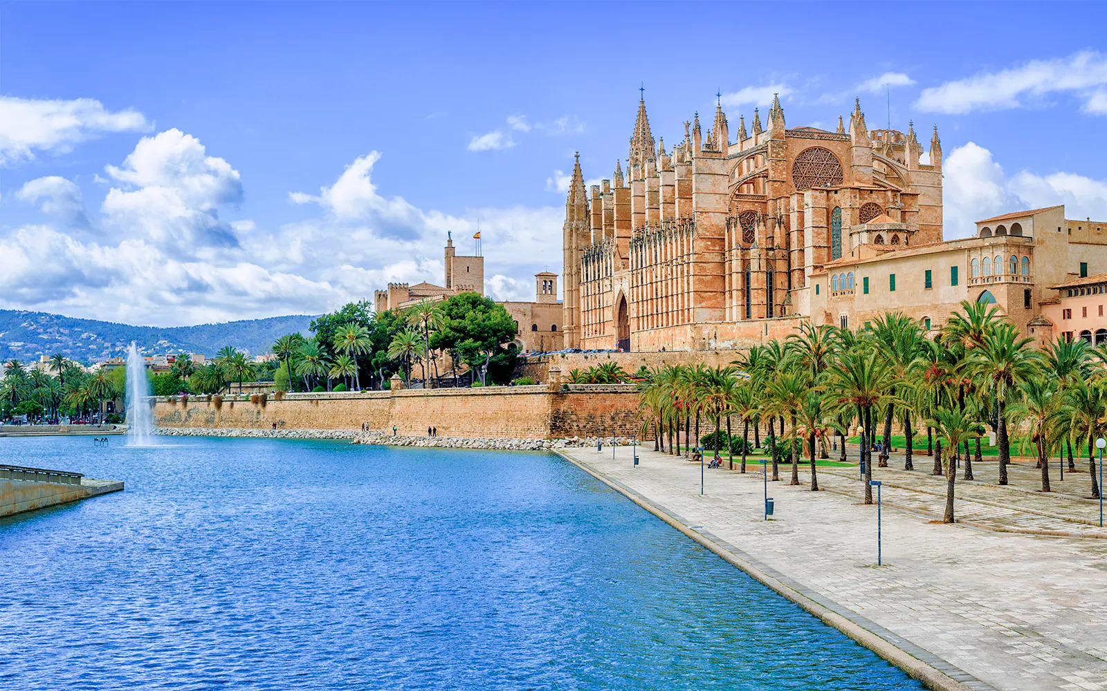 Palma Cathedral View from the Bay
