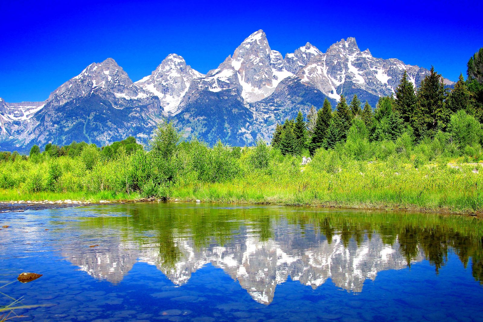 Teton Views