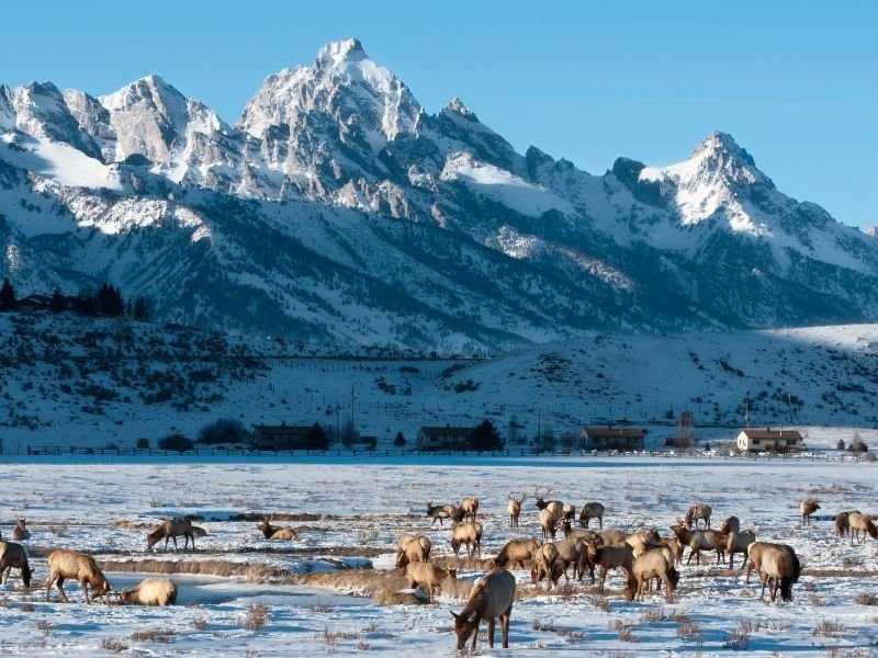 Mountain Backdrop Angle