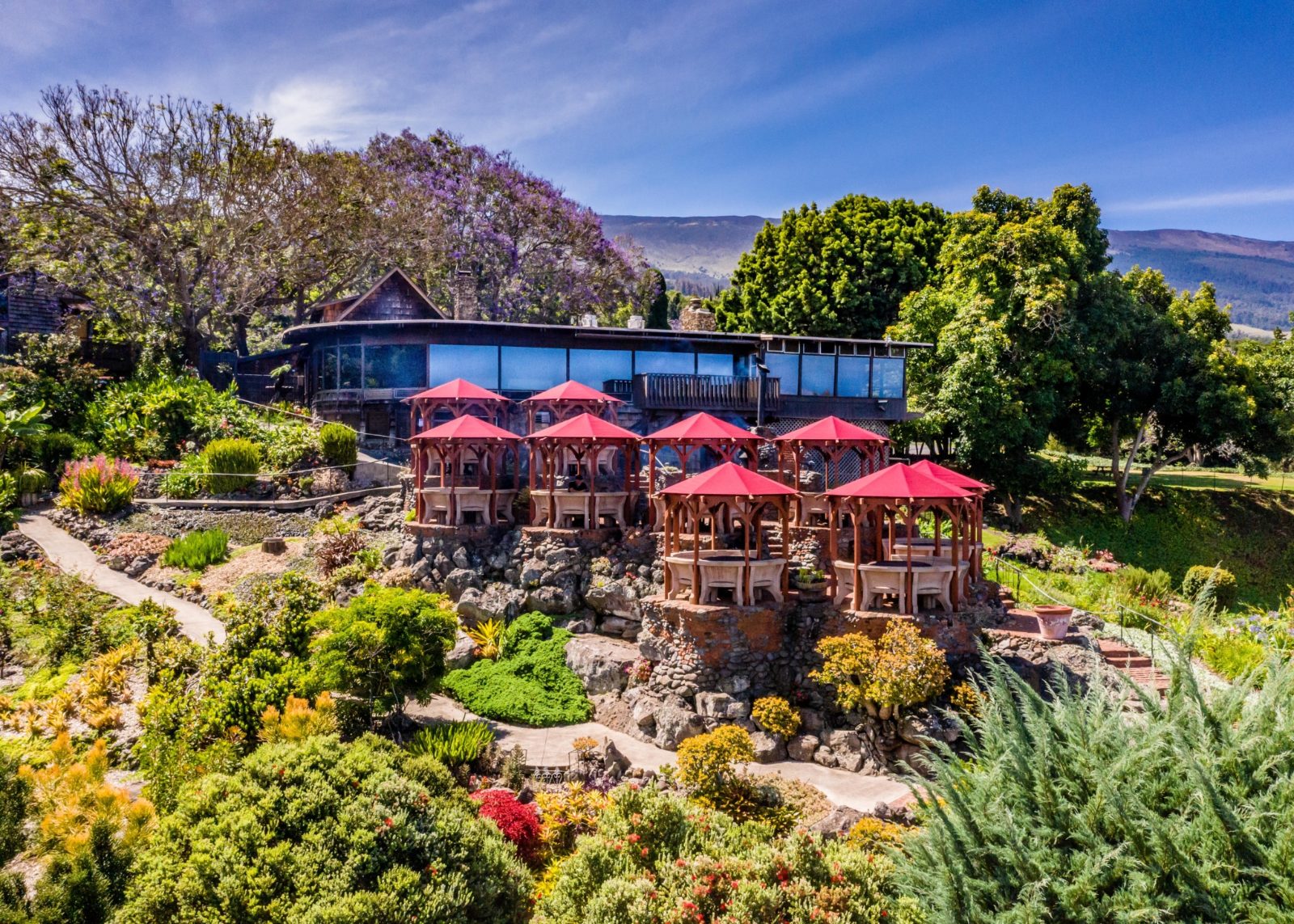 Dinner Service