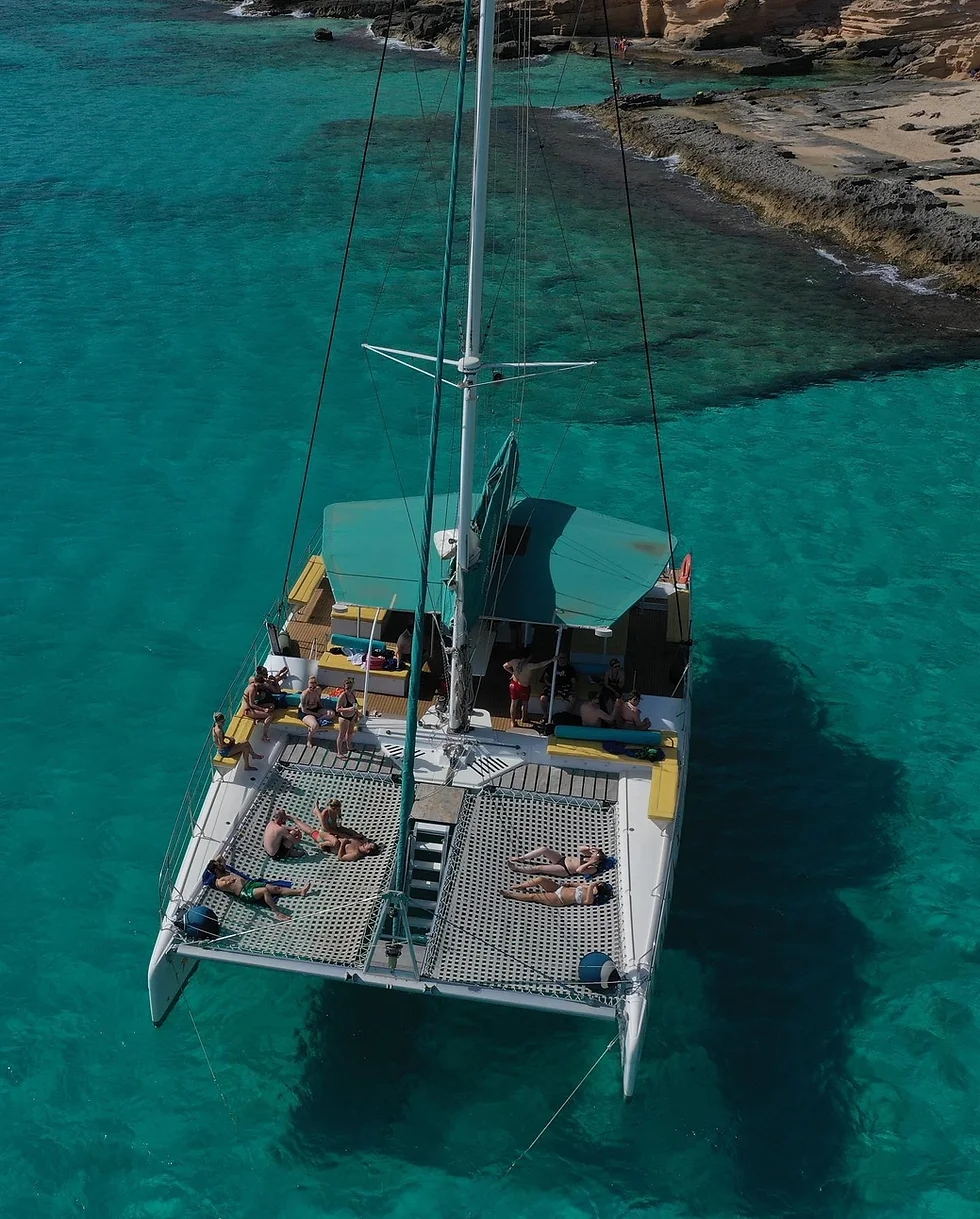 Catamaran Bow Netting
