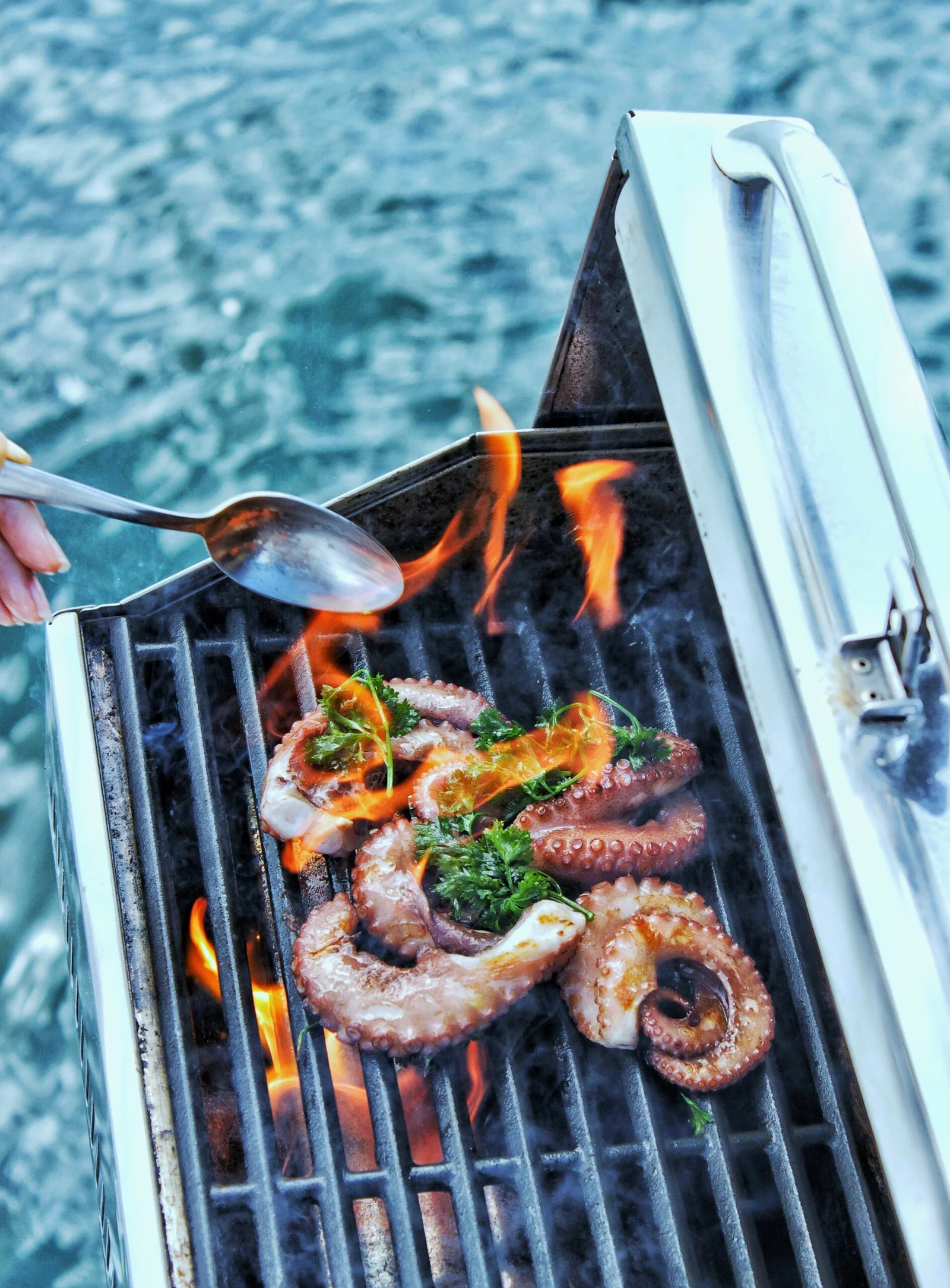 Onboard Barbecue Grill
