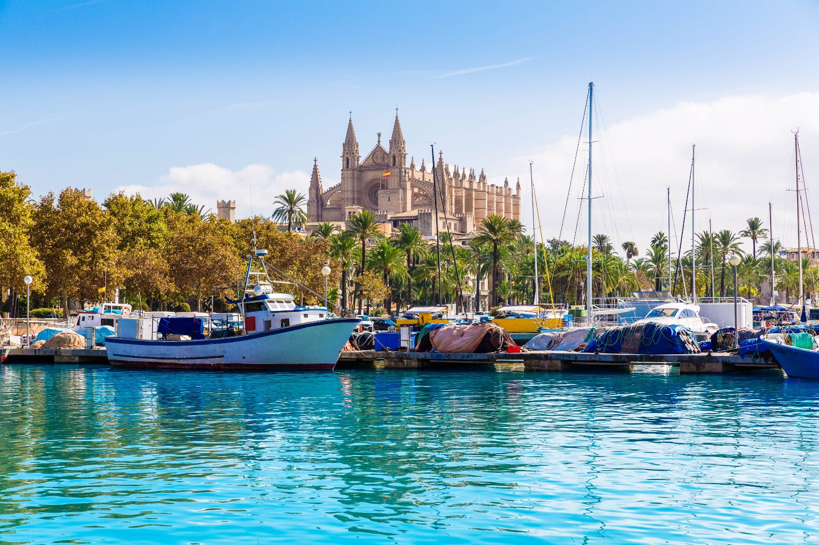 Return Journey to Palma