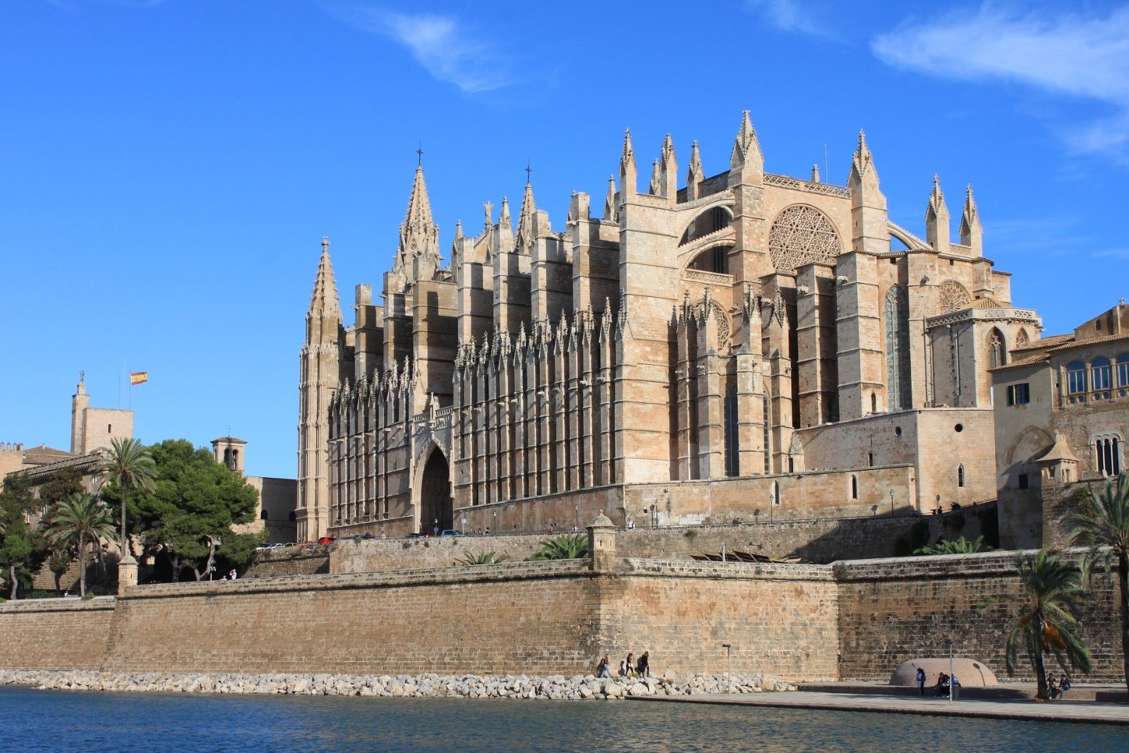 Palma Bay Cathedral View