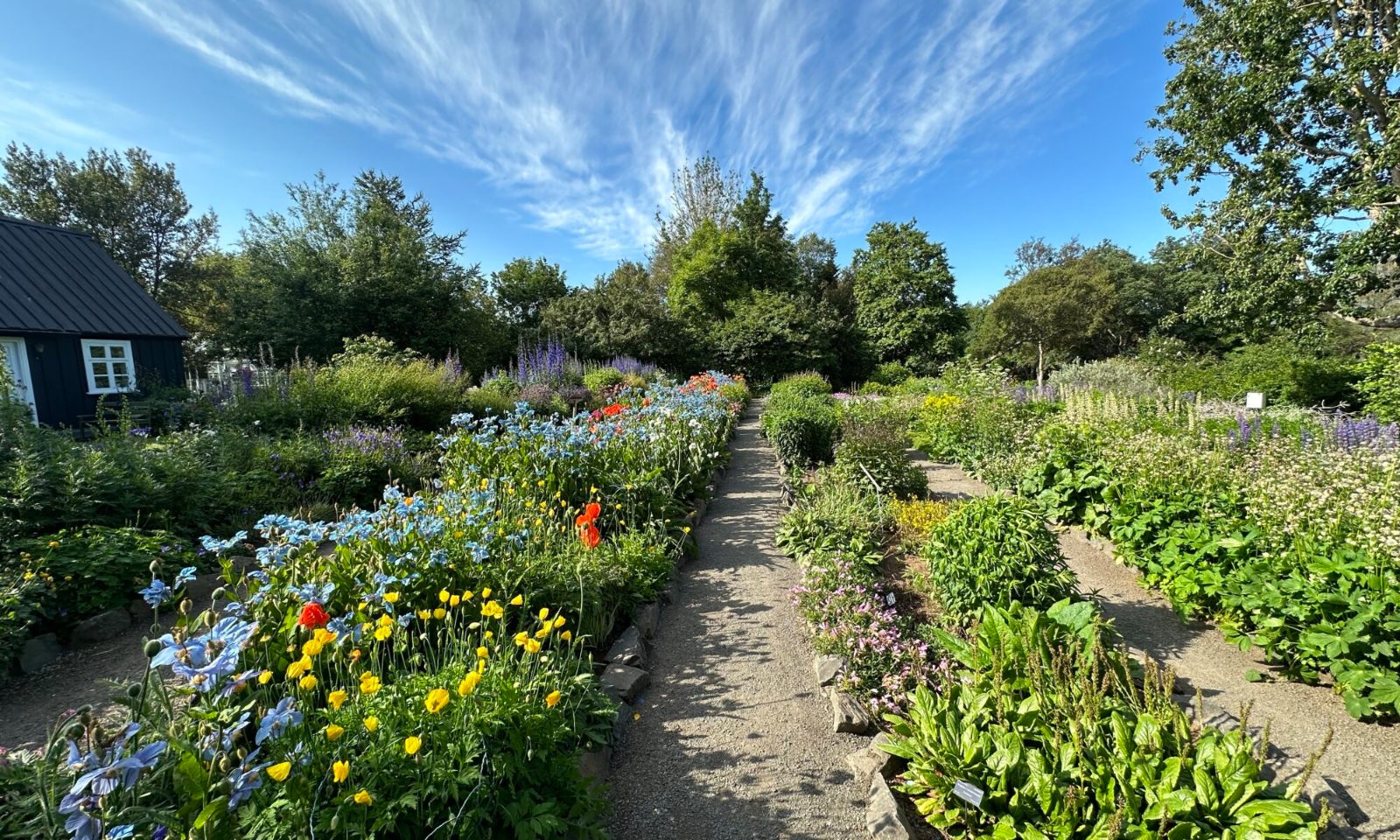 Akureyri Botanical Garden