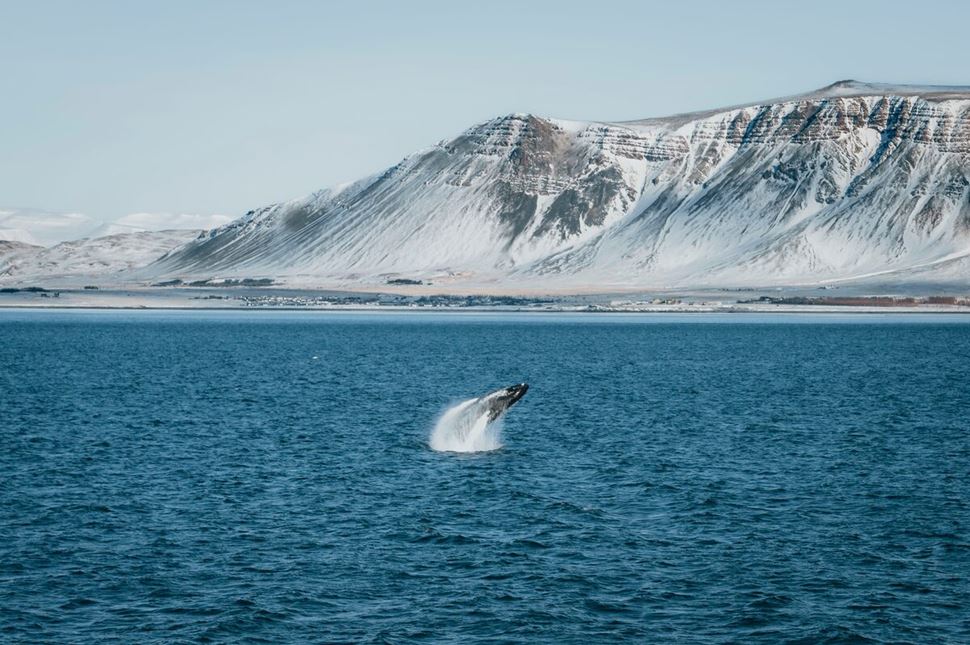 Fjord Navigation and Sighting