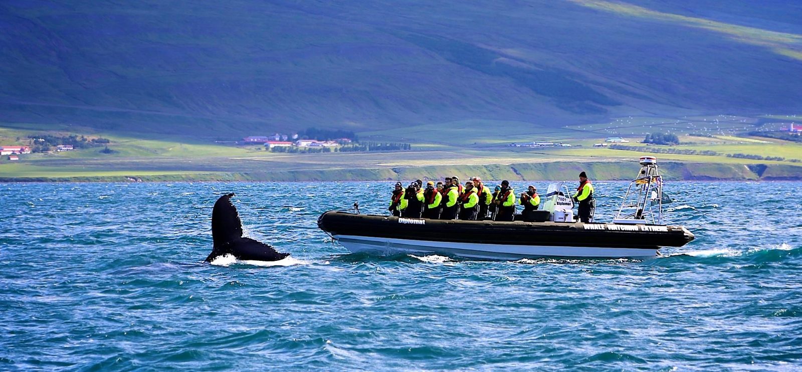 Custom 12-Seater RIB Speedboats