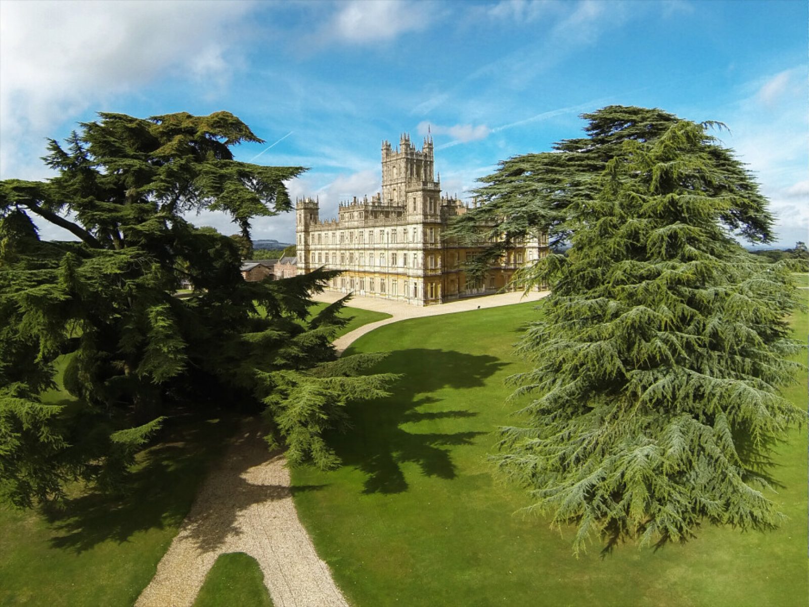 The Cedar of Lebanon