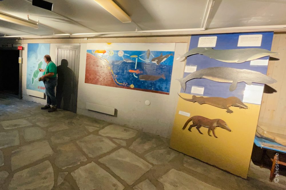 Map and Briefing Room
