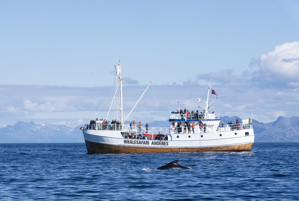 Vessel M/S Reine