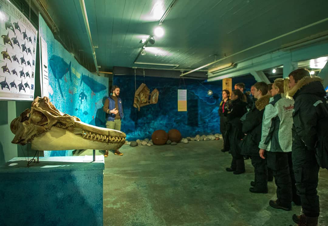 The Deep Sea Room
