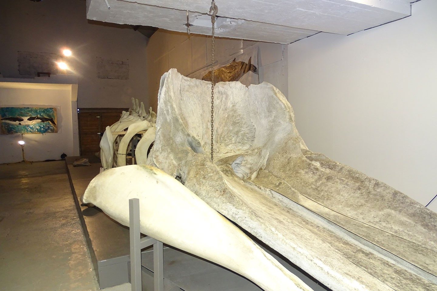 The Skeleton Room
