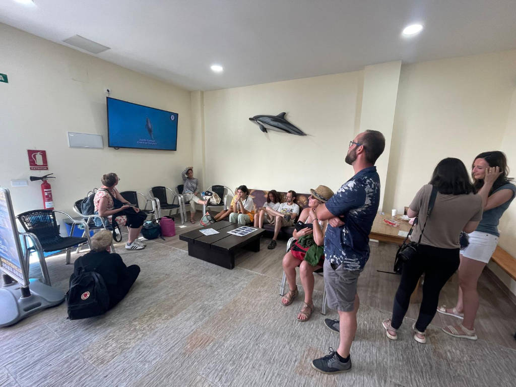 Arrival and Check-in