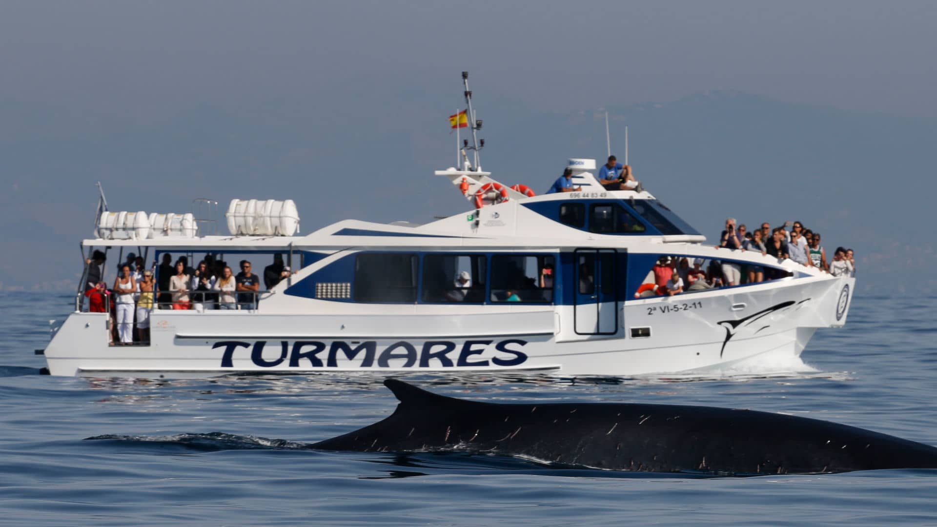 Turmares Office