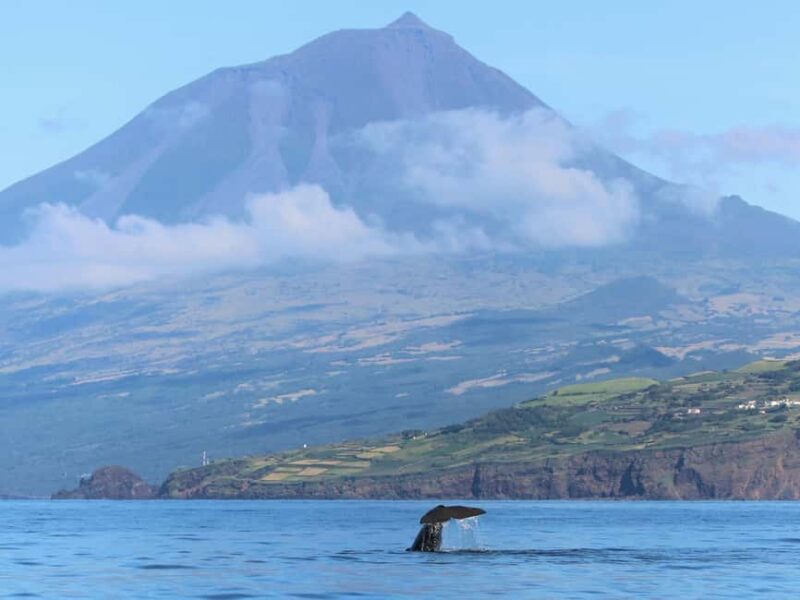 Offshore Lajes do Pico