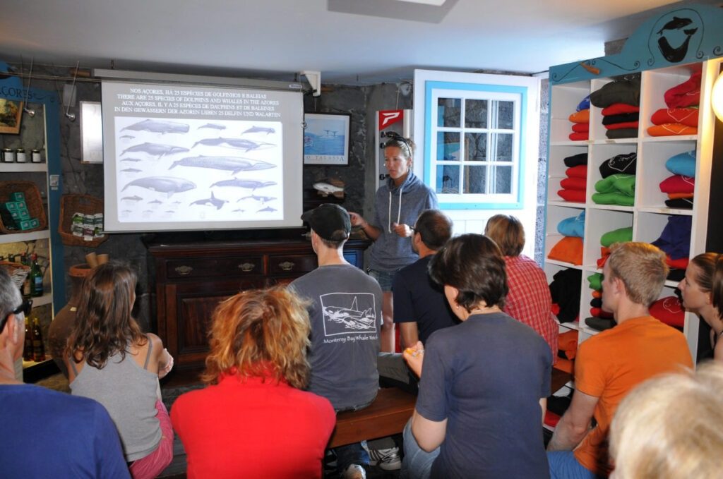 The Briefing Room