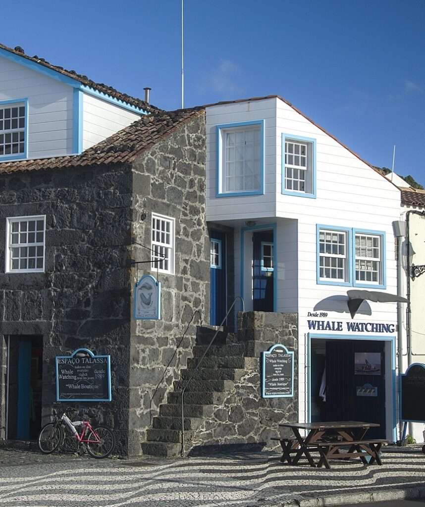 Whale'Come Library and Eco-Shop