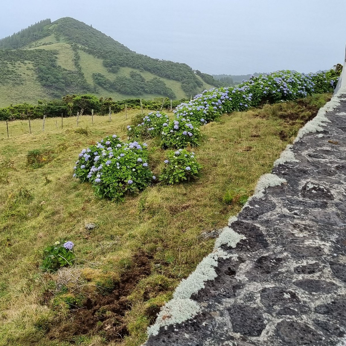 Vigia da Queimada