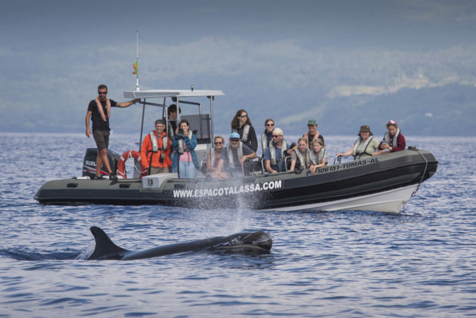 Cetacean Observation Base
