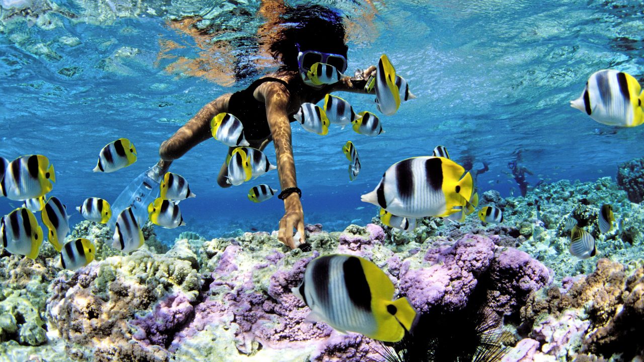 Aquarium Snorkel