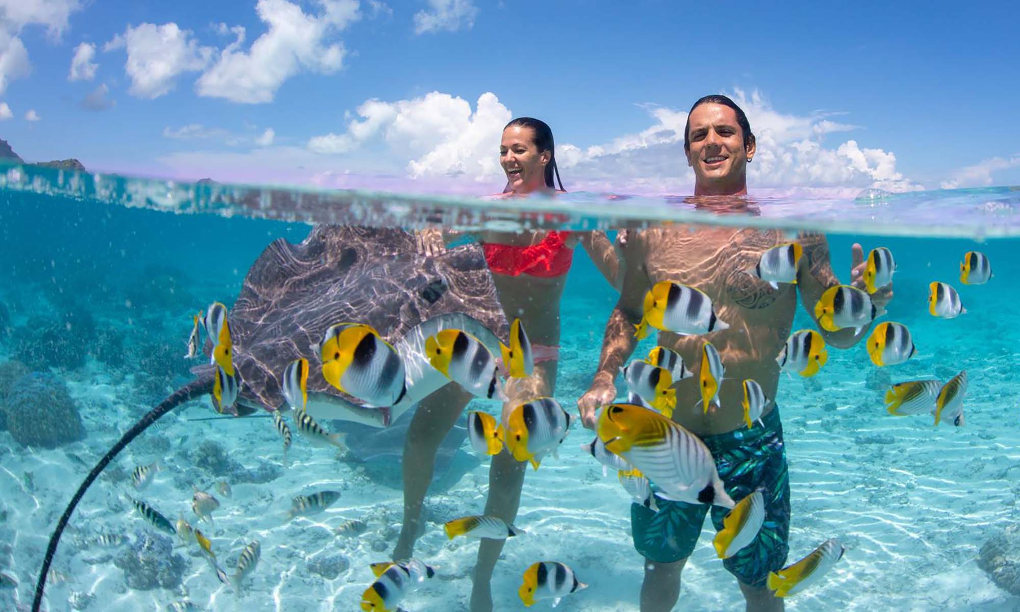 Stingray Feeding Sandbar