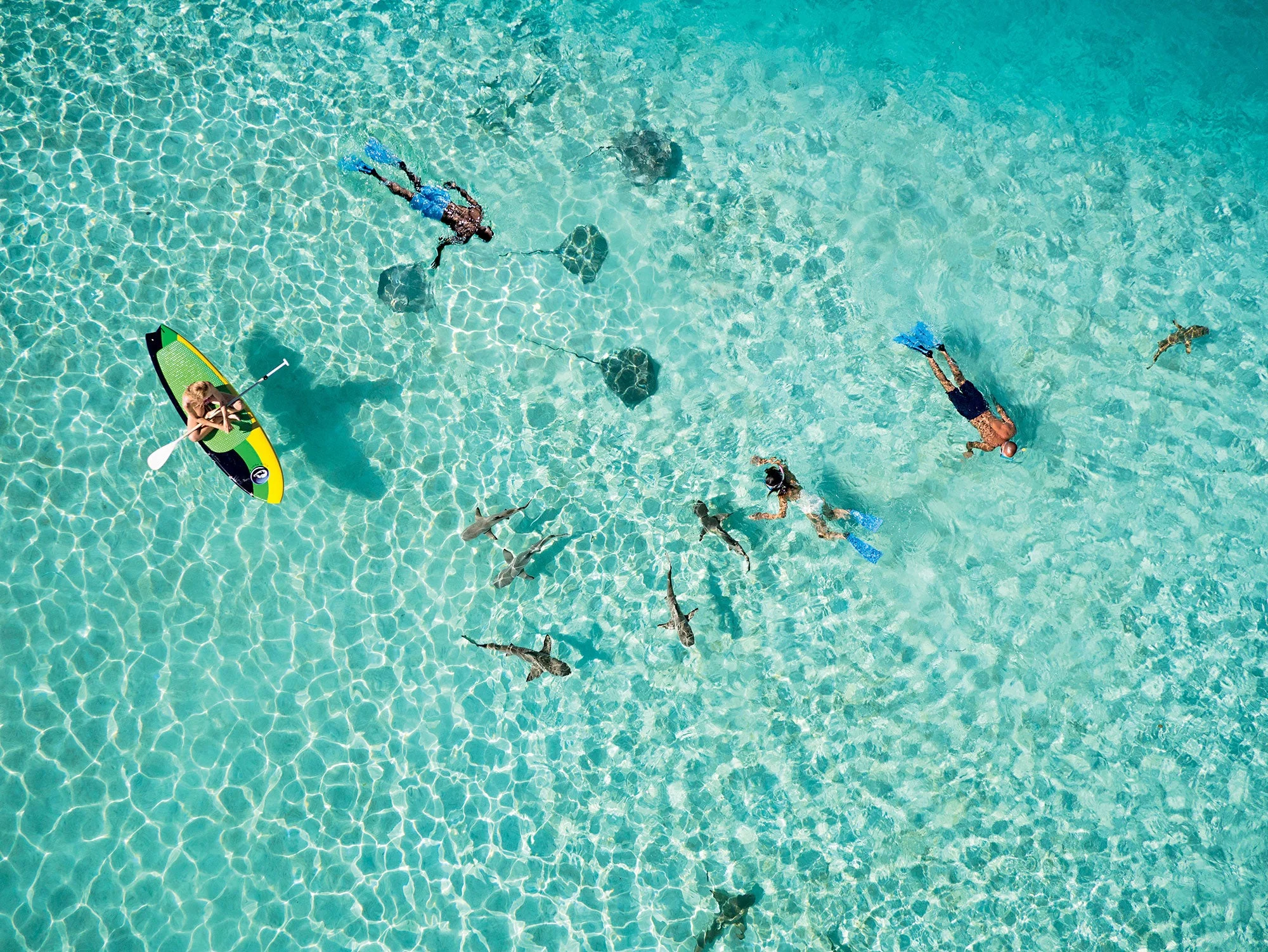 Bora Bora Snorkeling Excursion