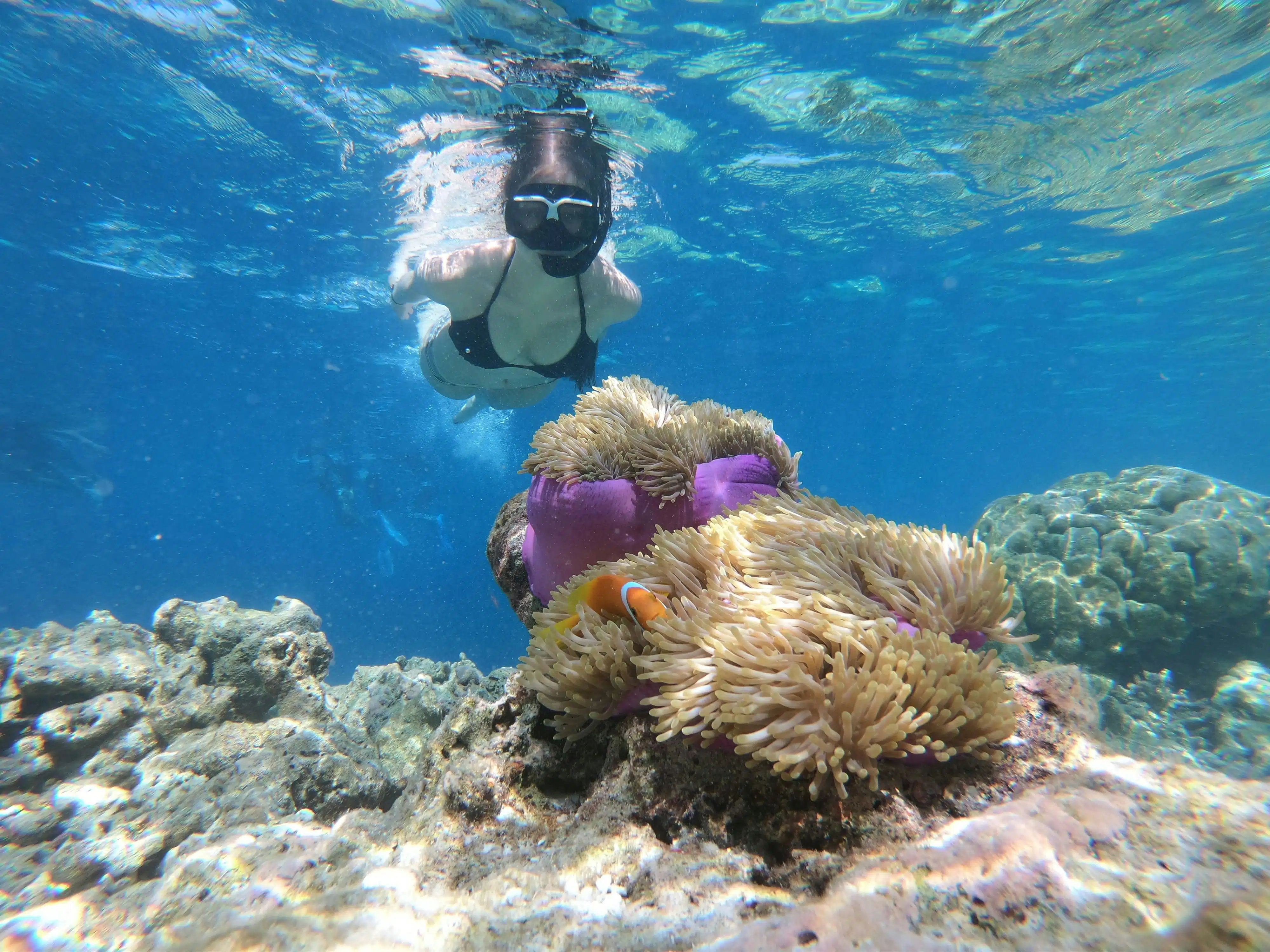 First Reef Stop