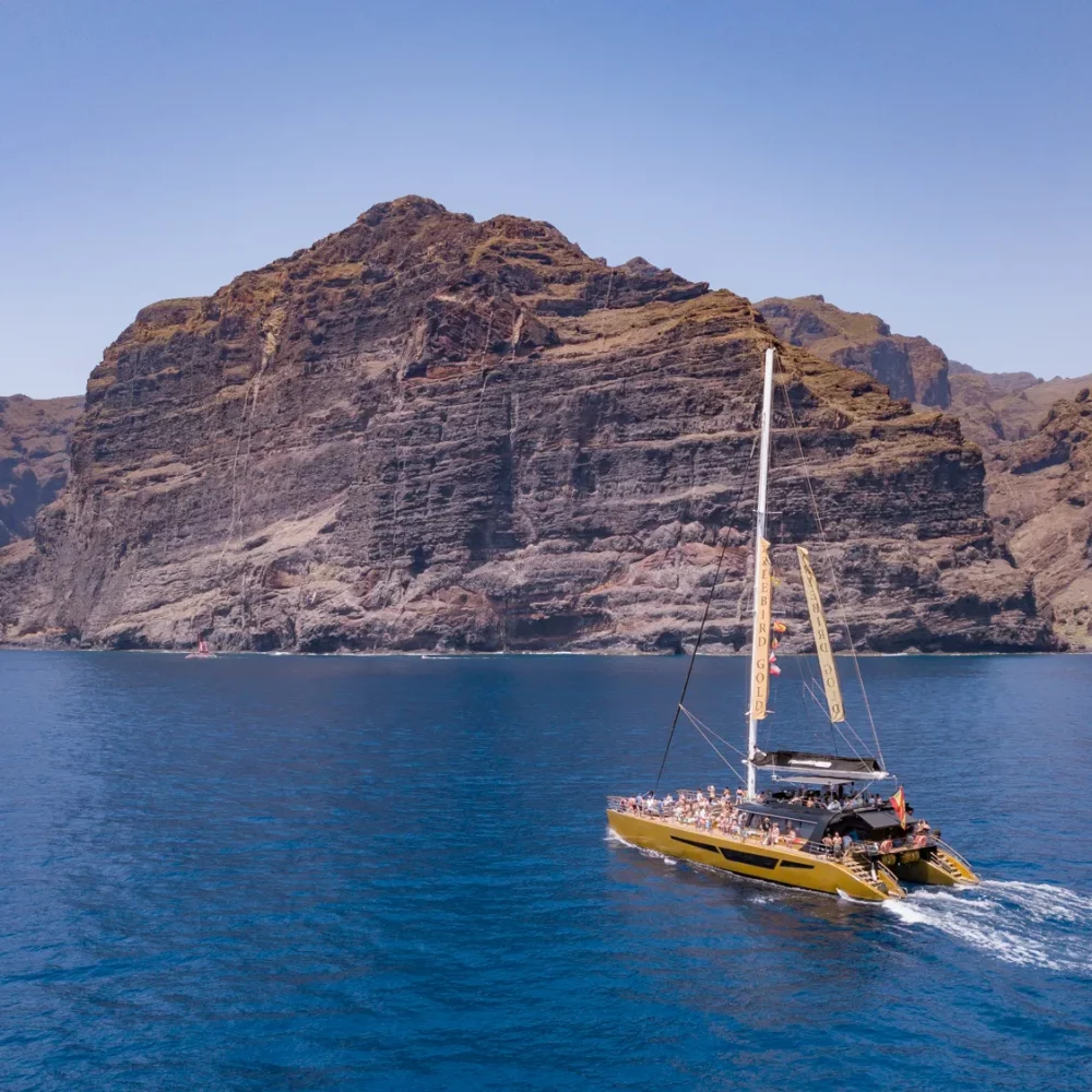 Los Gigantes Whale Watching Tours