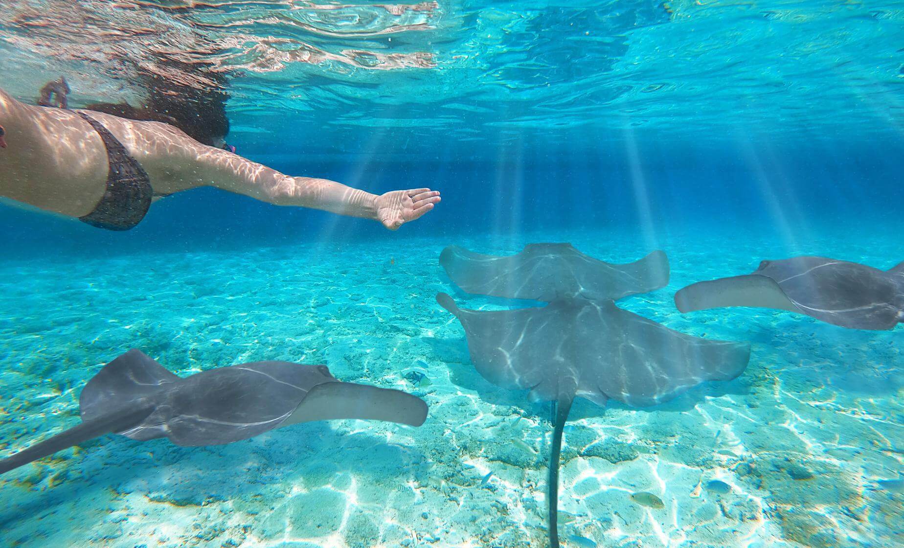 Best Bora Bora Snorkeling Tour