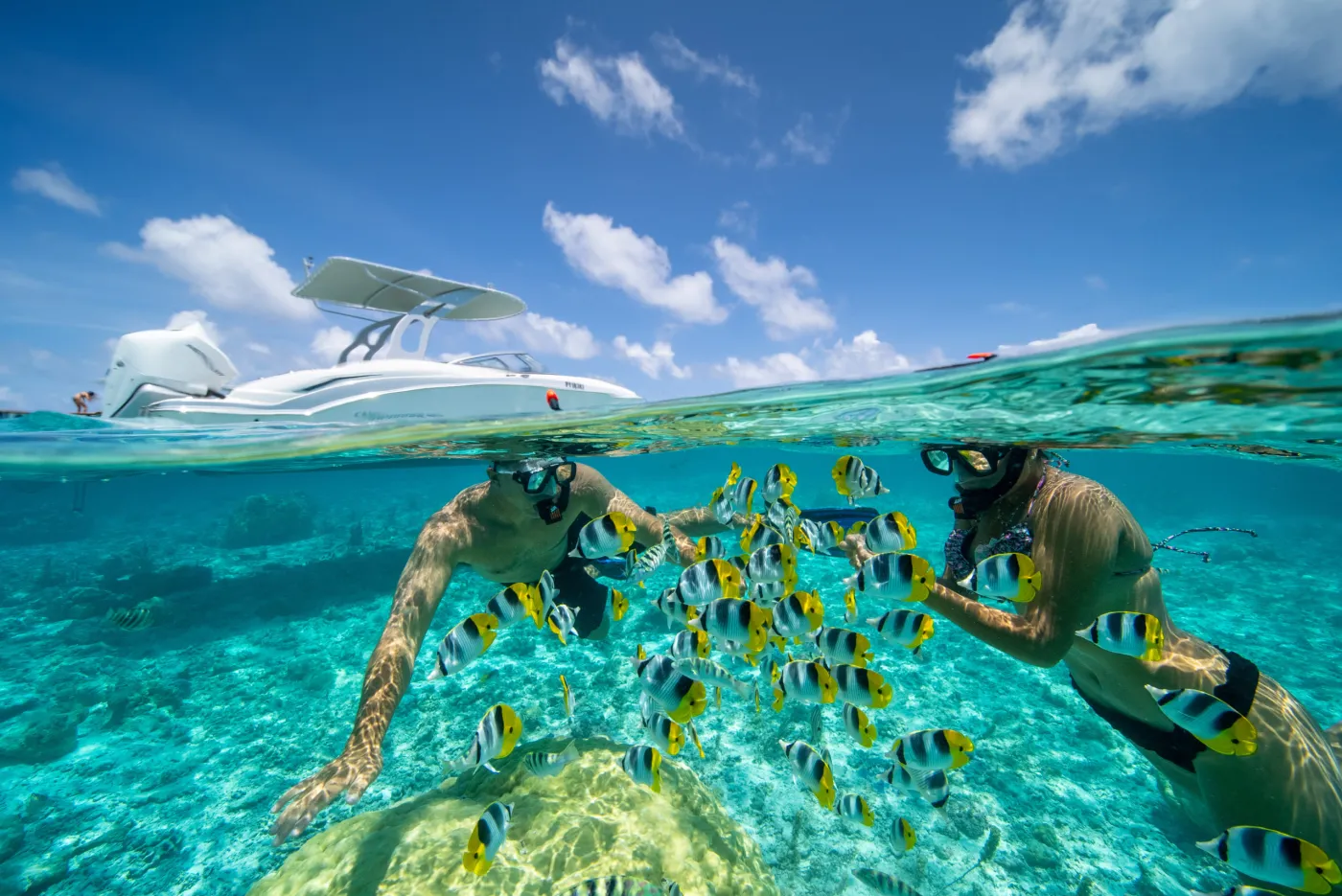 The Aquarium Snorkel Spot