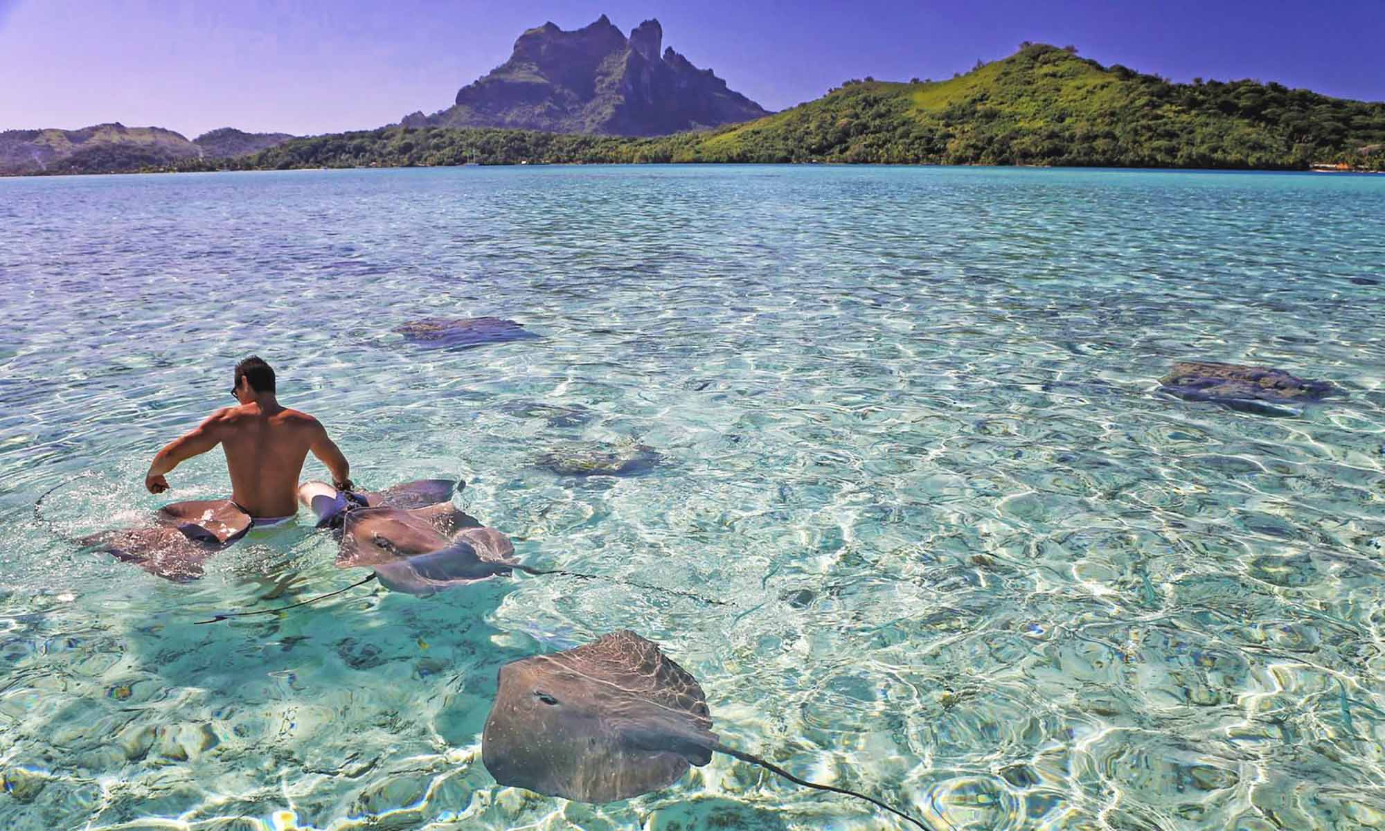 The Shark and Ray Lagoon