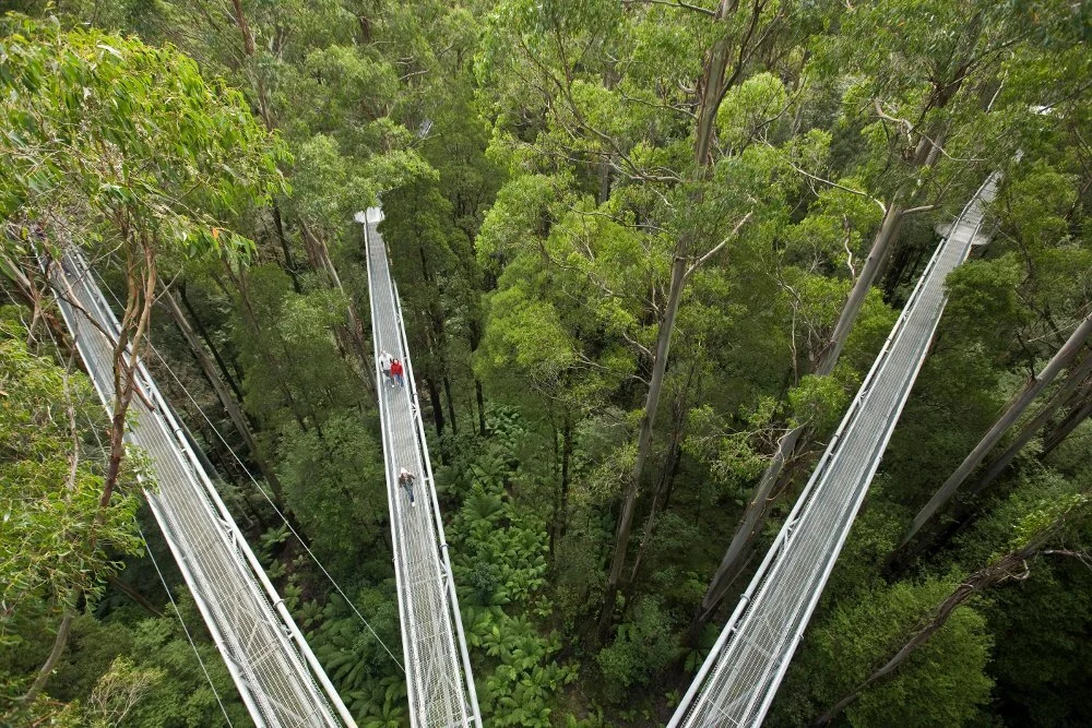 Great Otway National Park