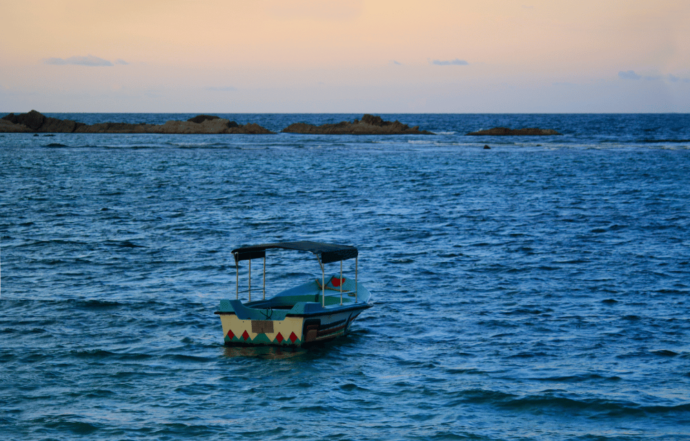 Return to Shore