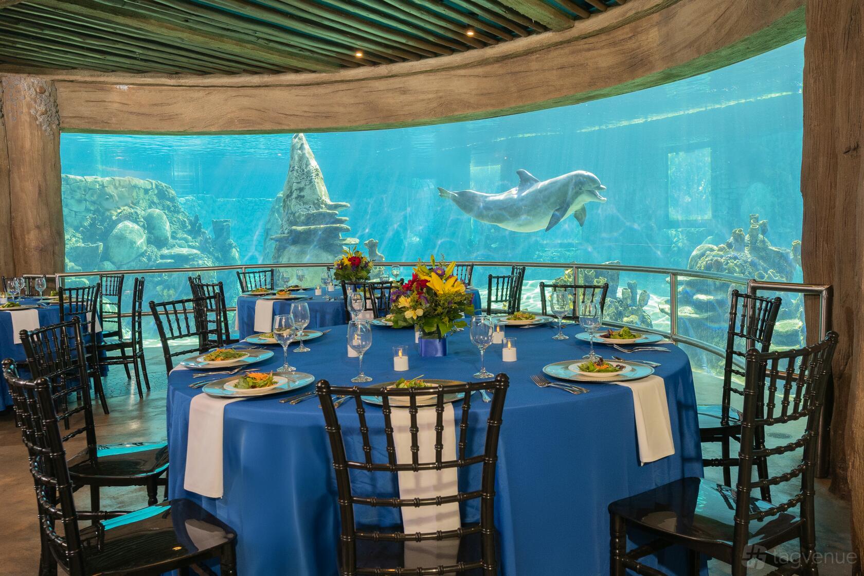 Underwater Glass Viewing Room