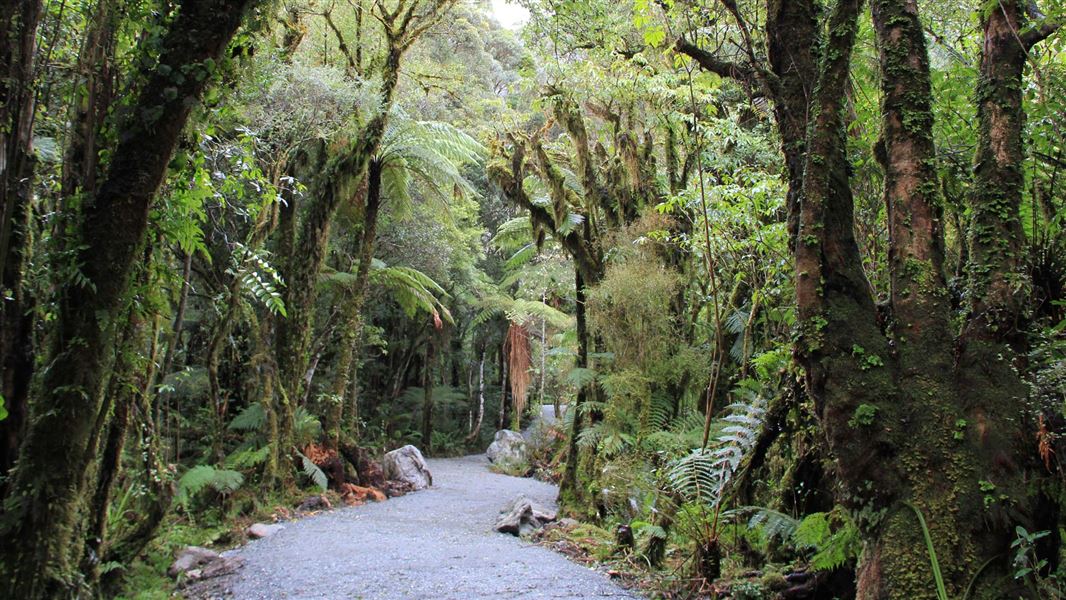 Westland Tai Poutini National Park Visitor Centre