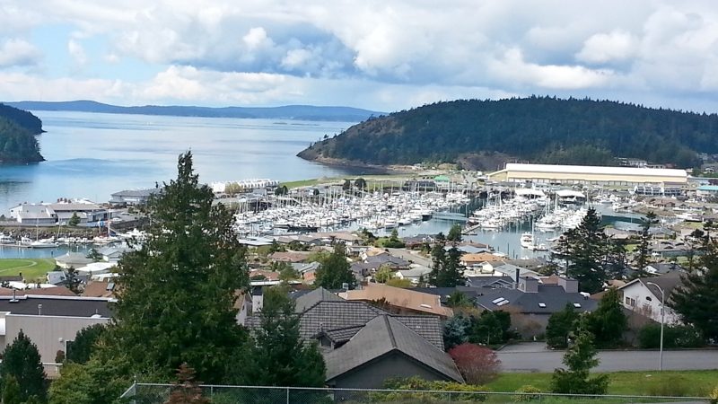 Return to Skyline Marina