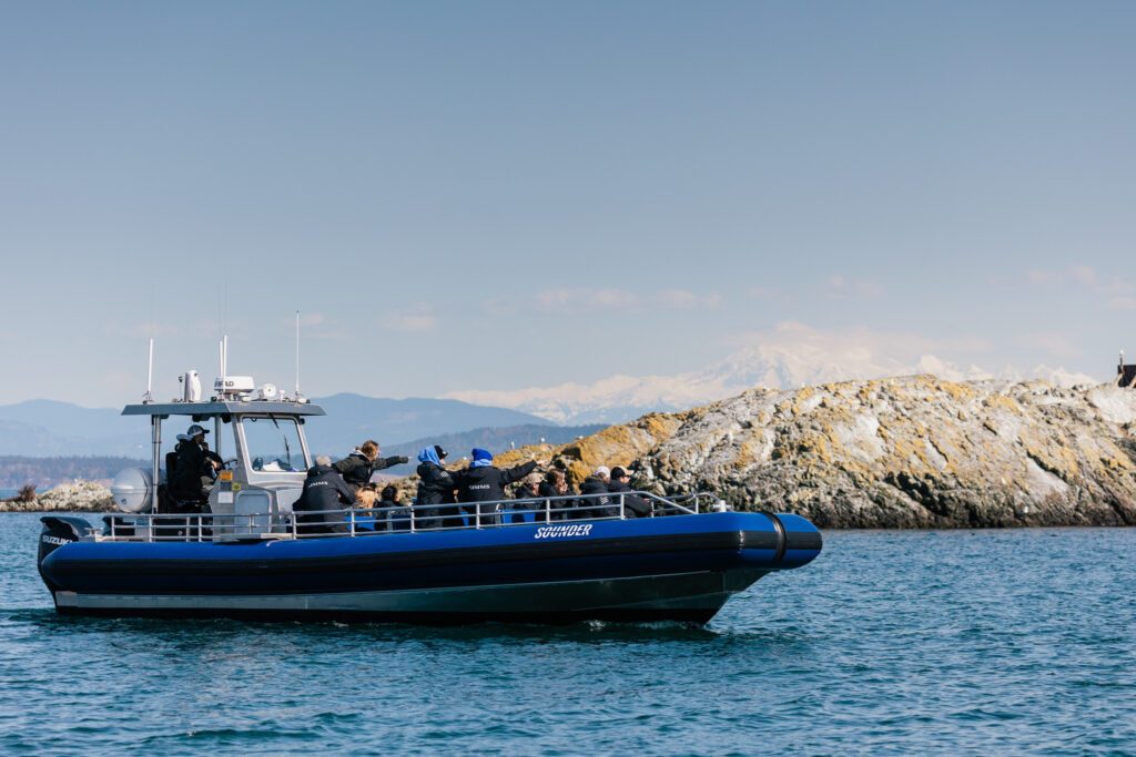 Vessel Boarding and Safety Briefing