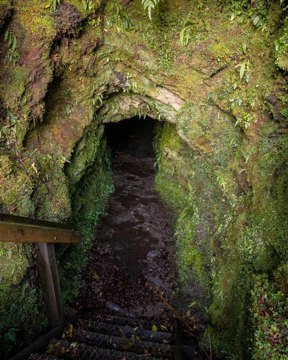 Tatare Tunnels Entrance
