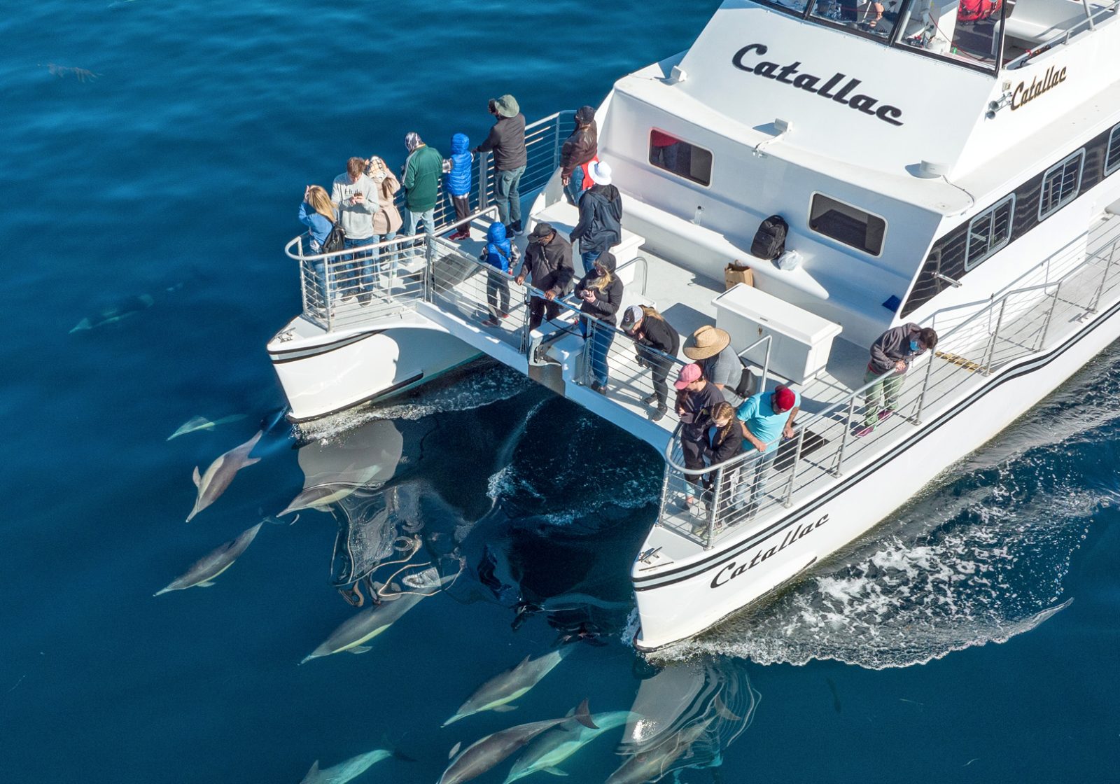 Catallac Catamaran