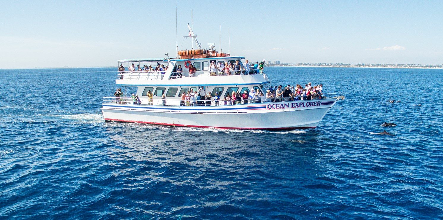Ocean Explorer