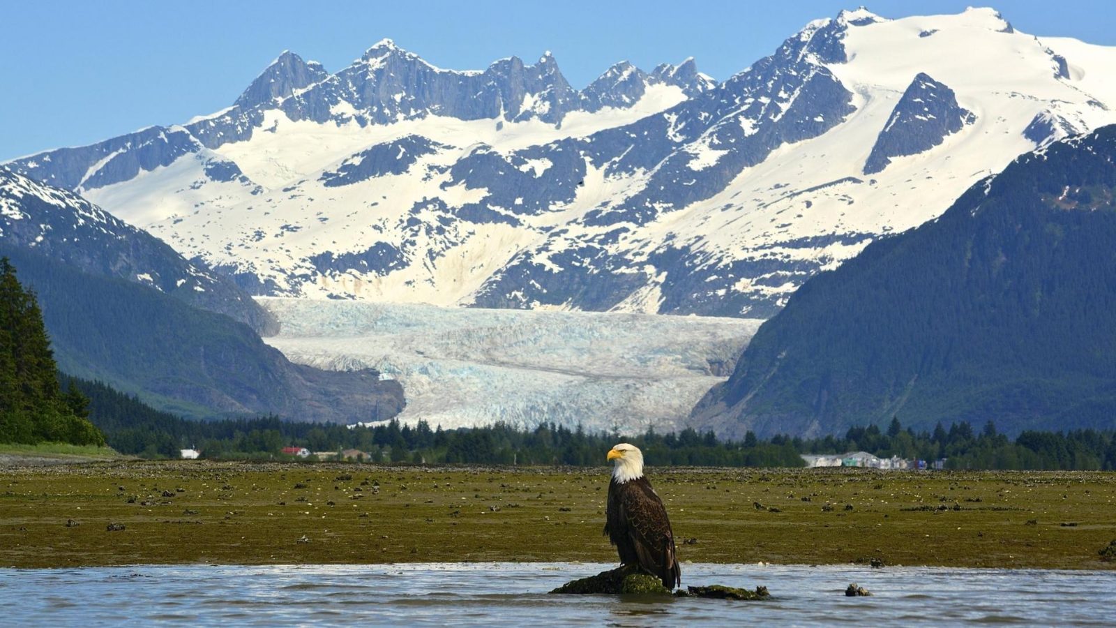 Mendenhall Peninsula shoreline