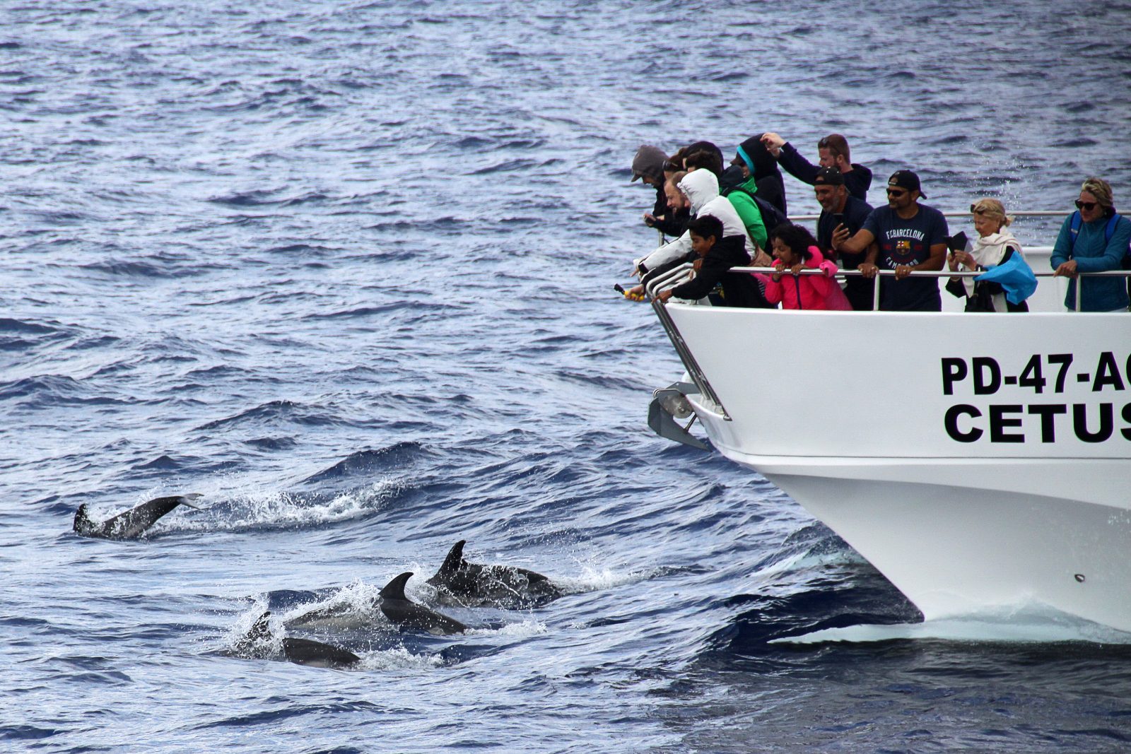 Catamaran Observation Deck