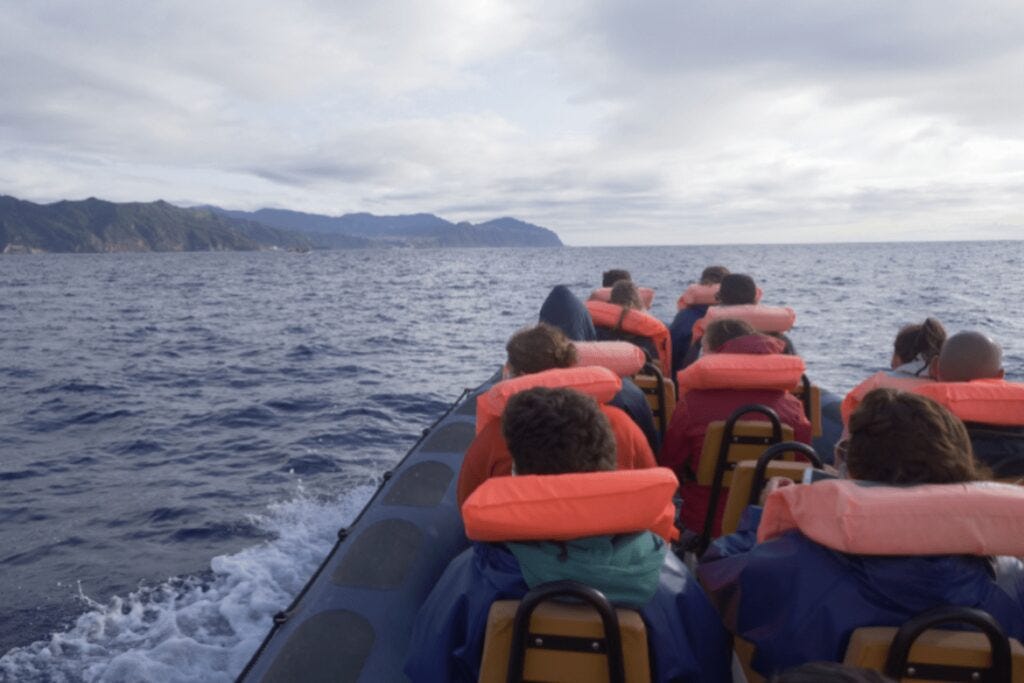 Inflatable Zodiacs