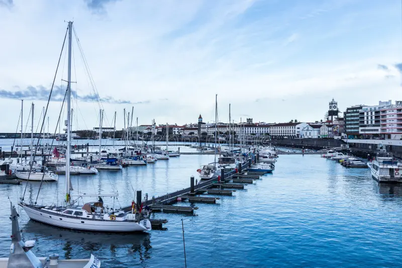 Return to Harbour