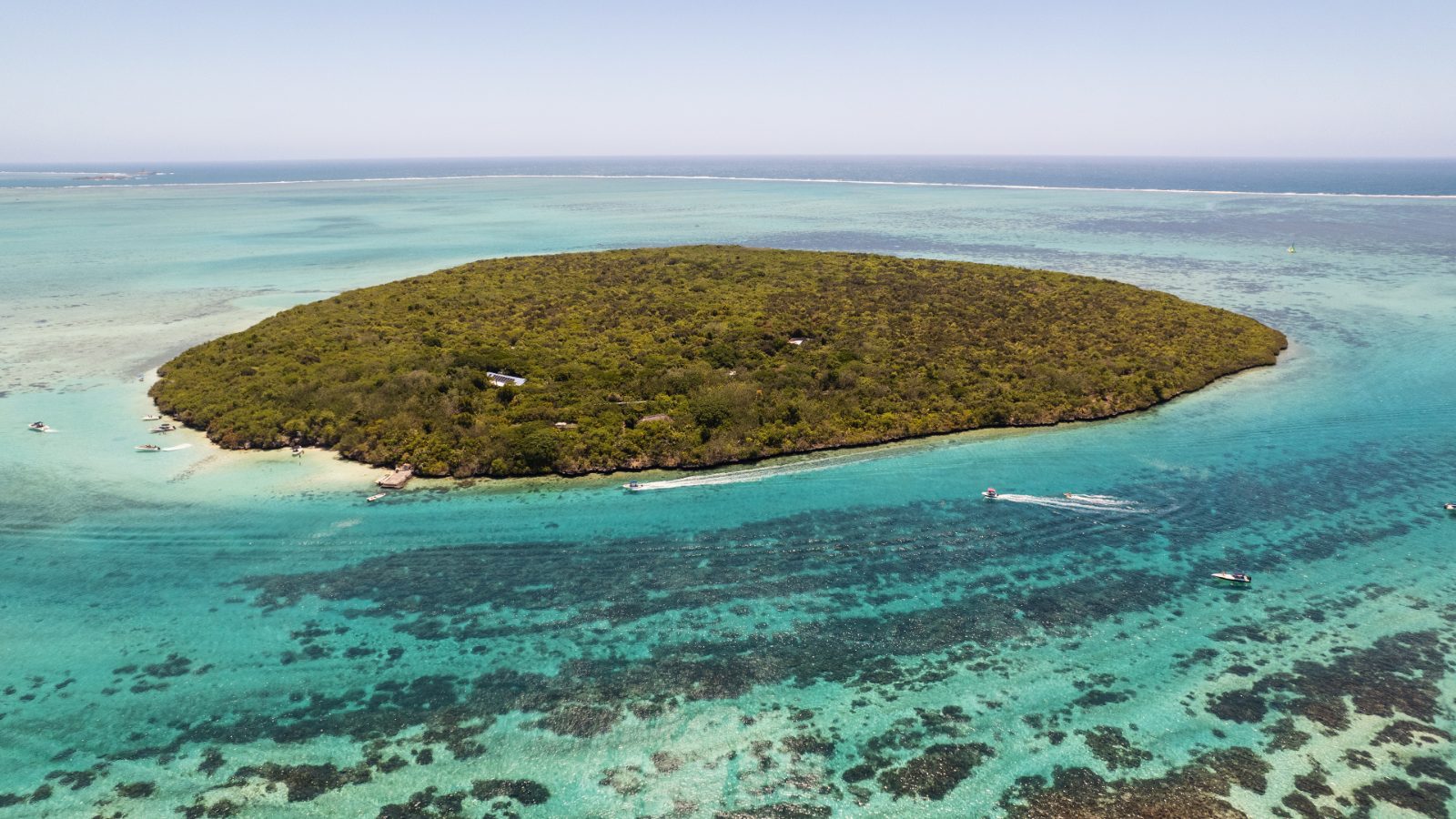 Ile aux Aigrettes